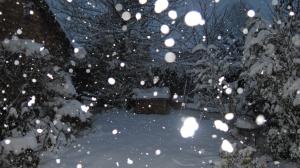 Snow in East Devon Dec 2010