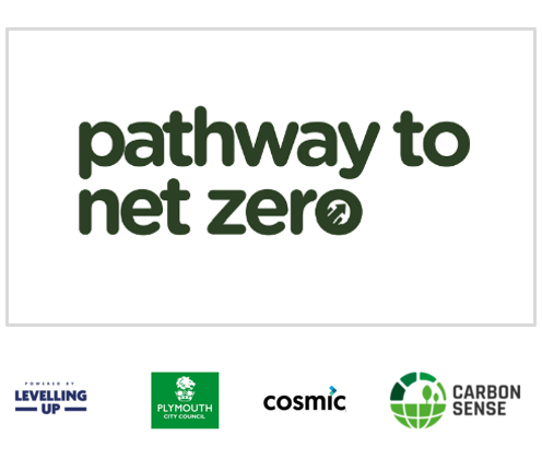pathway to net zero
