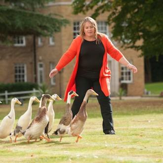 Katie Webber herding ducks