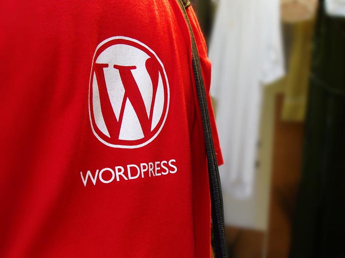 WordPress shirt