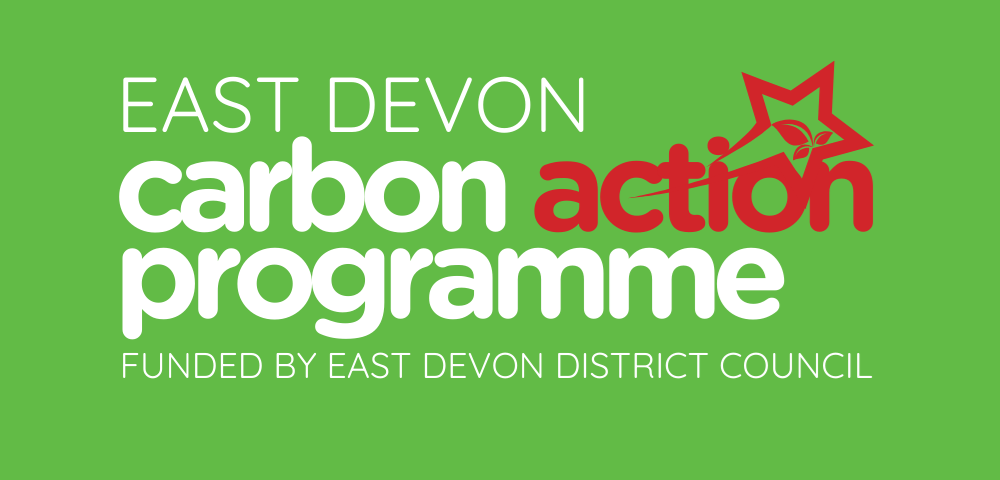 East Devon Carbon Action Programme helping local businesses and community organisations reduce their carbon footprint with free sustainability support.
