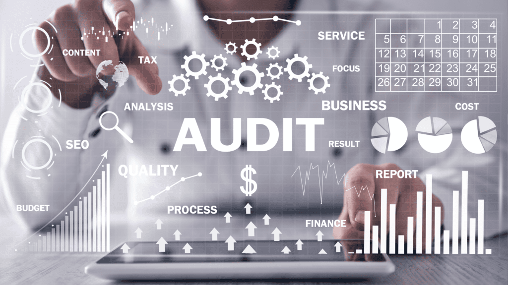 digital audit